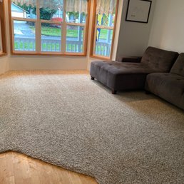 Clean living room carpet! Clean living room carpet!