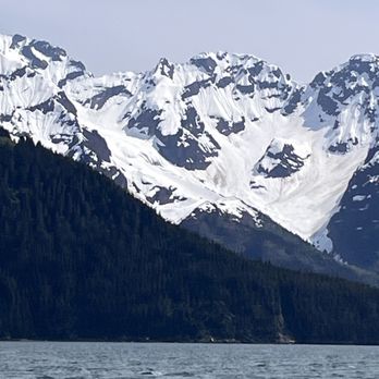 Major Marine Tours - Mountain View - Boating Near Me - Seward, Alaska