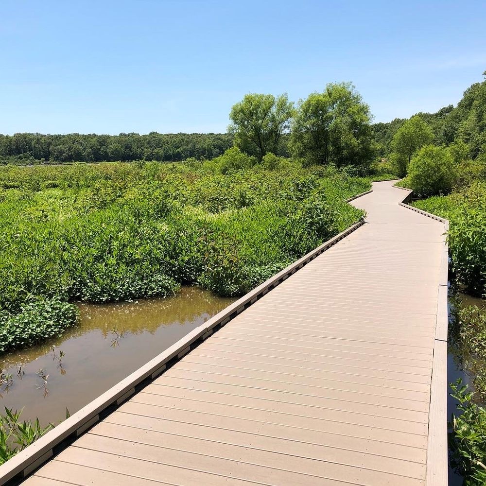 Huntley Meadows Park - Parks Near Me - Alexandria, Virginia Huntley Meadows Park - Parks Near Me - Alexandria, Virginia