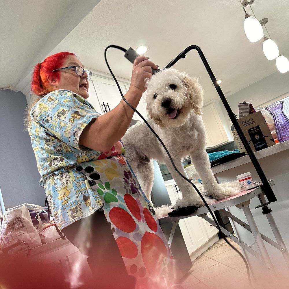 Daneen's In Home Grooming - Pet Groomers Near Me