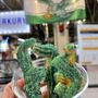 Photo of El Merkury at the Market