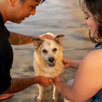 BMAC Pet Photography - Scripps Pier (La Jolla) - Pet Photography Near Me BMAC Pet Photography - Scripps Pier (La Jolla) - Pet Photography Near Me