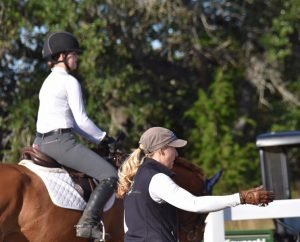 Top Flight Equestrian - equestrian in Raleigh, NC