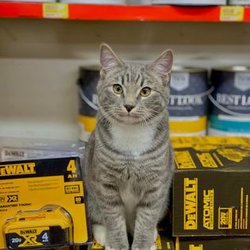 Hardings Hardware