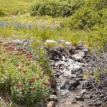 San Luis Peak - Hiking Near Me - Creede, Colorado