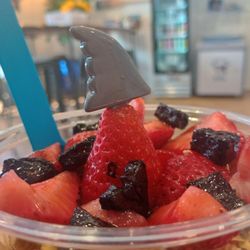 Shark Bowls and Bites