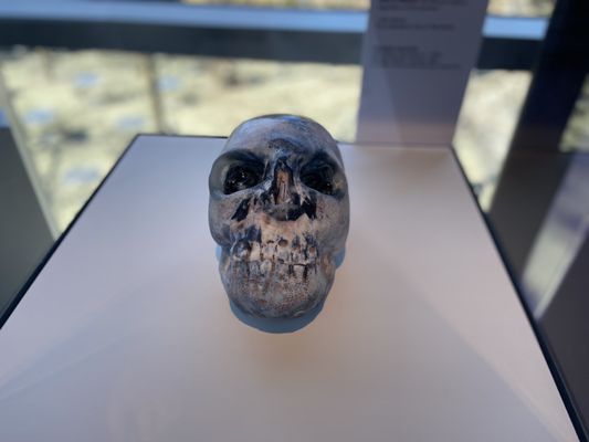 Corning Museum of Glass by null