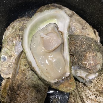 Riverview Cafe - Steamed Stump Sound Oysters - Seafood Near Me - Sneads Ferry, North Carolina Riverview Cafe - Steamed Stump Sound Oysters - Seafood Near Me - Sneads Ferry, North Carolina