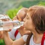 Brighton-Howell Soft Water Company