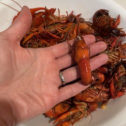 Kyle LeBlanc Crawfish Farms - My hands are really small since I'm only 5'2".