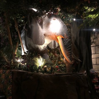 Rainforest Cafe - American Near Me - San Antonio, Texas Rainforest Cafe - American Near Me - San Antonio, Texas