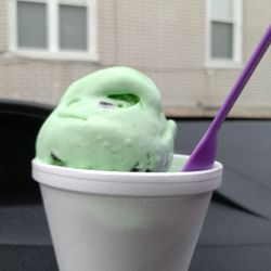 The Cup - Mint chocolate chip ice cream