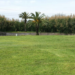Parco sul mare di Villa Favorita