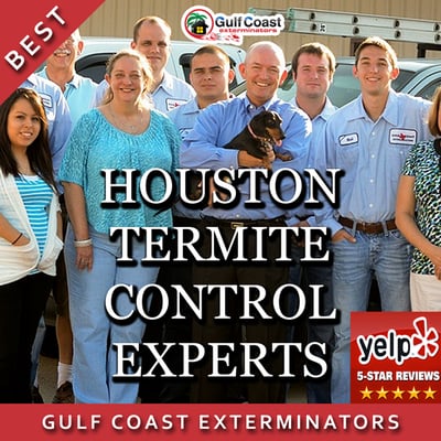 Gulf Coast Exterminators