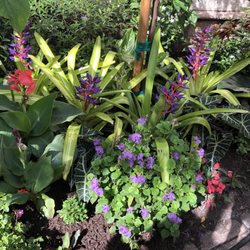 Gardens By Allison