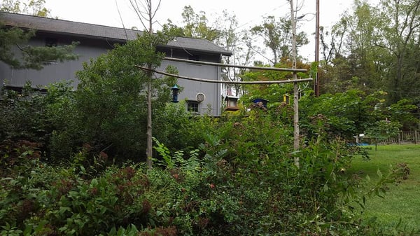 Eden Mill Nature Center by null