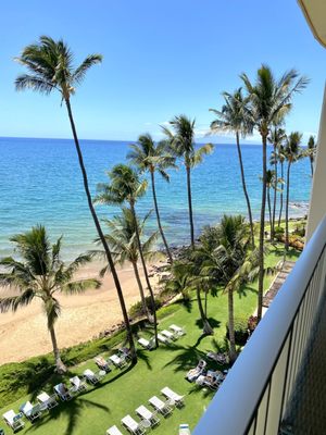 The Hale Pau Hana by null
