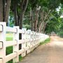 Alpharetta Deck & Fence