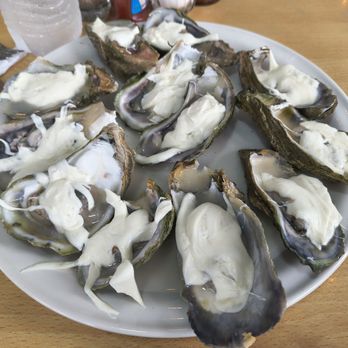 La Palapa del Mayor - Ostiones Gratinado - Seafood Near Me - Cancún, ROO La Palapa del Mayor - Ostiones Gratinado - Seafood Near Me - Cancún, ROO