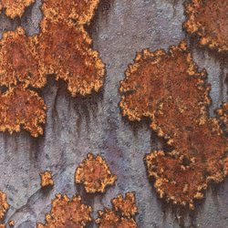 Silver Star Smokehouse - Cool pattern of rust outside
