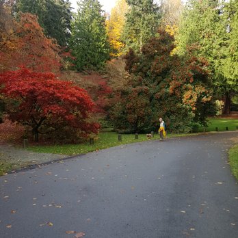 Washington Park Arboretum - Parks Near Me - Seattle, Washington Washington Park Arboretum - Parks Near Me - Seattle, Washington
