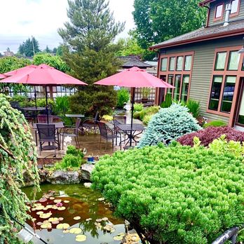 Umi Cafe - Step into an oasis of lovely garden, koi pond, & patio seating with umbrellas! - Bubble Tea Near Me - Issaquah, Washington Umi Cafe - Step into an oasis of lovely garden, koi pond, & patio seating with umbrellas! - Bubble Tea Near Me - Issaquah, Washington