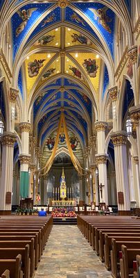 Basilica of the Sacred Heart by null
