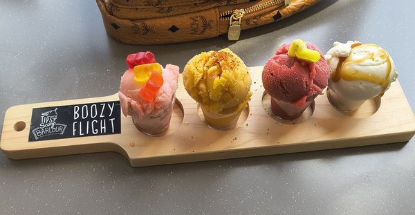 Tipsy Scoop Nashville by null