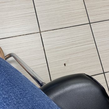 Fantasy Salon - Dead roach - Nail Salons Near Me - Los Gatos, California Fantasy Salon - Dead roach - Nail Salons Near Me - Los Gatos, California