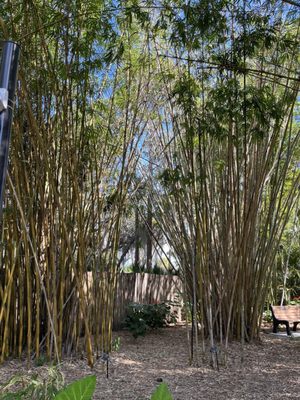 Port St. Lucie Botanical Gardens by null