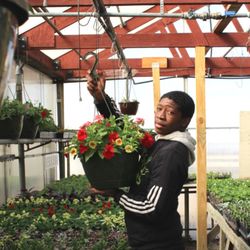 Webers Greenhouse