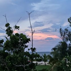 Halpin 2 Travel - Belize City