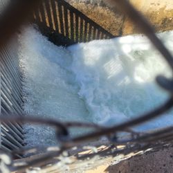 Feather River Fish Hatchery