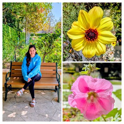 Gardens of the World by null