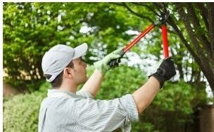 J & A Ford Tree Care - tree service in Fort Wayne, IN