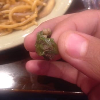 Fasia Buffet - Dirt in food - Buffets Near Me - Escondido, California