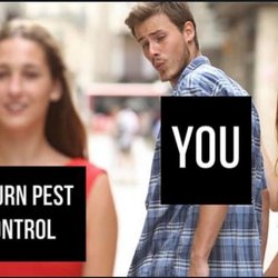 Saturn Pest Control