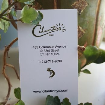 Cilantro - Bookmark this place! - Mexican Near Me - New York, New York