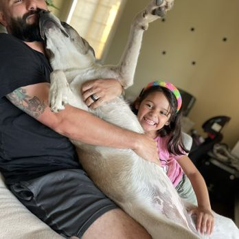 Sit Means Sit San Gabriel Valley - Pet Training Near Me - Glendora, California Sit Means Sit San Gabriel Valley - Pet Training Near Me - Glendora, California