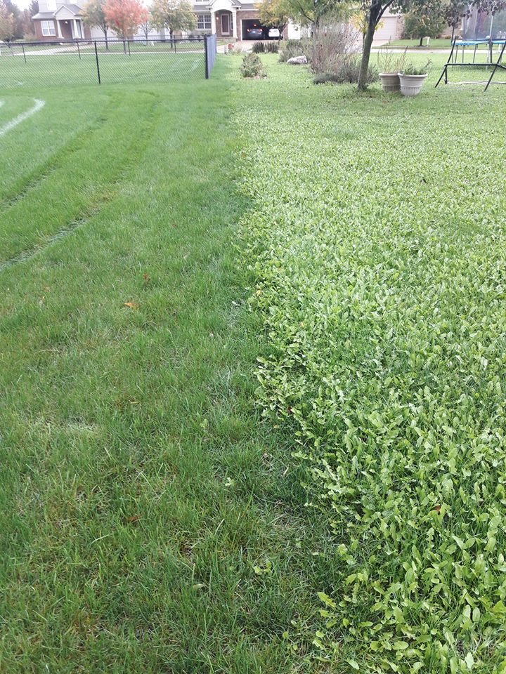 NATURAL WAY LAWN & TREE SERVICE Updated March 2025 10 Photos & 17 Reviews 23689 Research