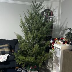 Hidden Canyon Christmas Tree Farm
