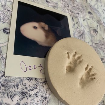 West Coast - Paw print memorial - Pet Cremation Services Near Me - Sun Valley, California West Coast - Paw print memorial - Pet Cremation Services Near Me - Sun Valley, California