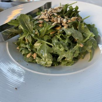 Vacanza Romana - Baby Arugula salad was tasty - Italian Near Me - El Dorado Hills, California Vacanza Romana - Baby Arugula salad was tasty - Italian Near Me - El Dorado Hills, California