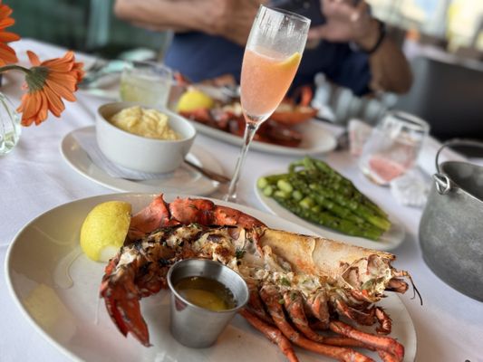The Lobster by null