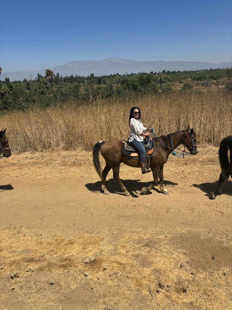 Adventures On Horseback - equestrian in Ramona, CA
