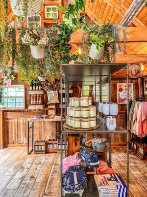 Rose Hill Vineyards & Inn by null