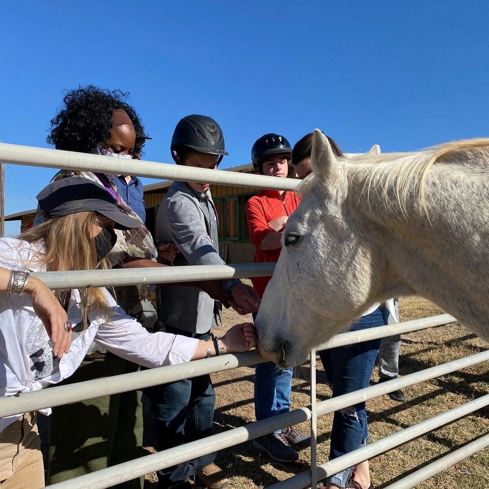 Starlight Therapeutic Riding Center - social services organization in Midland, TX