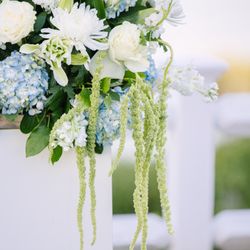 Fancy Flowers by Meredith