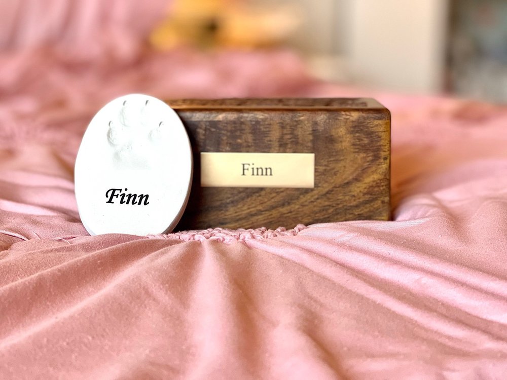 LOYALSOCK ANIMAL HOSPITAL 34 Photos & 12 Reviews 1900 Northway Rd