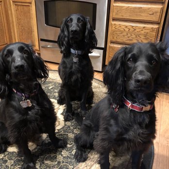 Valley Veterinary Clinic - Veterinarians Near Me - Simi Valley, California Valley Veterinary Clinic - Veterinarians Near Me - Simi Valley, California